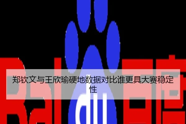 郑钦文与王欣瑜硬地数据对比谁更具大赛稳定性